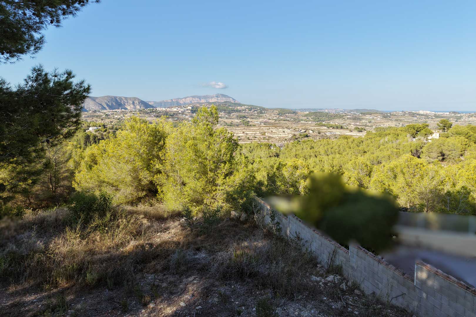 Vista panorámica desde la parcela elevada hacia el valle de Moraira, mostrando la vegetación autóctona de pinos y las montañas al fondo bajo un cielo despejado.