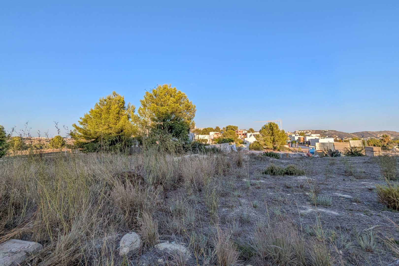 Vista de la parcela llana con vegetación autóctona y pinos, rodeada de viviendas unifamiliares modernas en el área residencial de El Tesoro.