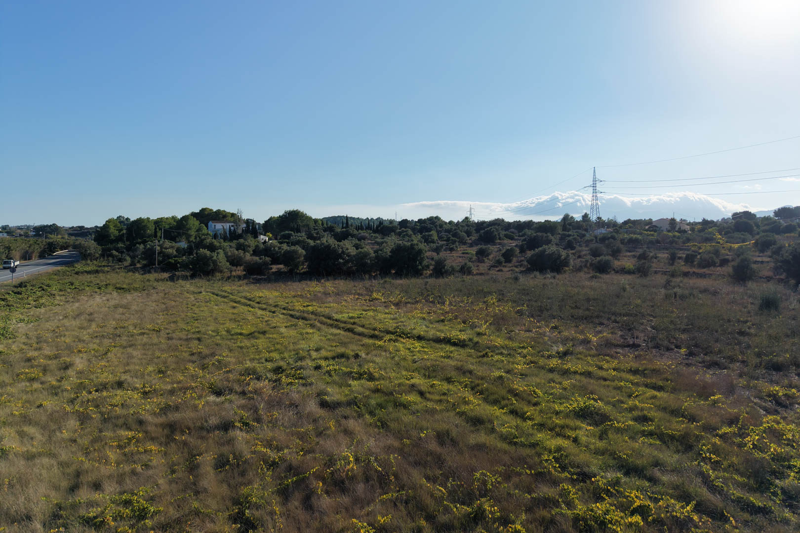 Vista panorámica de la amplia parcela llana en Teulada, rodeada de vegetación mediterránea autóctona bajo un cielo despejado. Un terreno ideal para proyectos agrícolas o de ocio.
