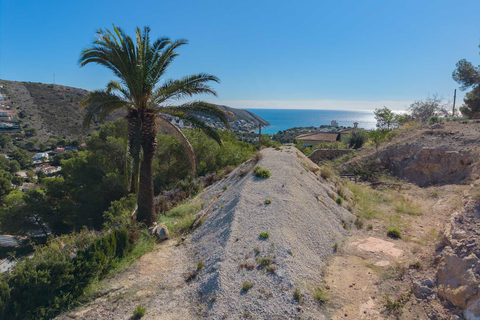 Vista panorámica desde la parcela elevada hacia la bahía de El Portet, con una palmera autóctona y el mar Mediterráneo bajo un cielo despejado.