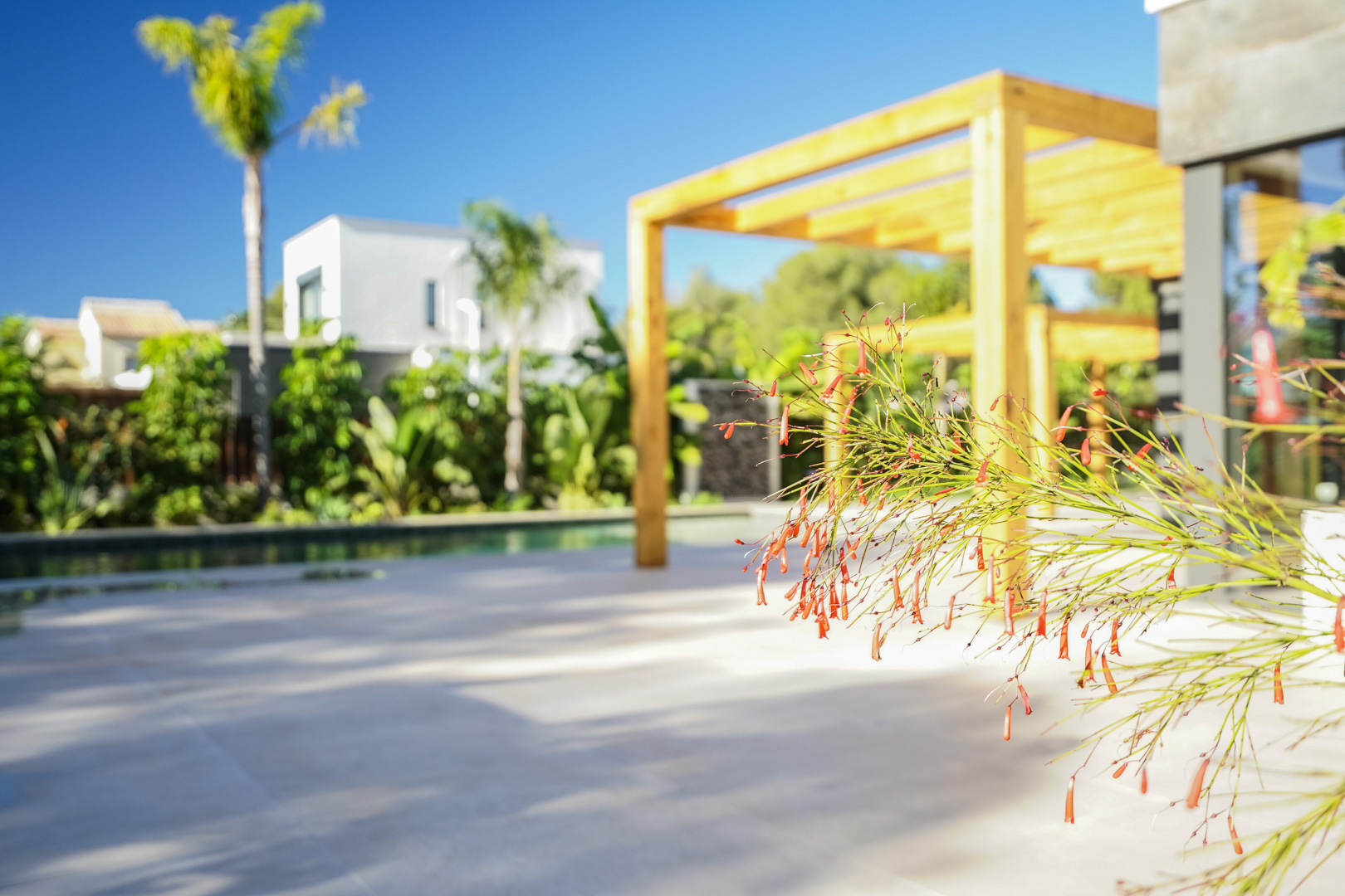 Terraza exterior con pérgola de madera de iroko y vistas al jardín mediterráneo. Primer plano de vegetación ornamental junto a la zona de piscina.