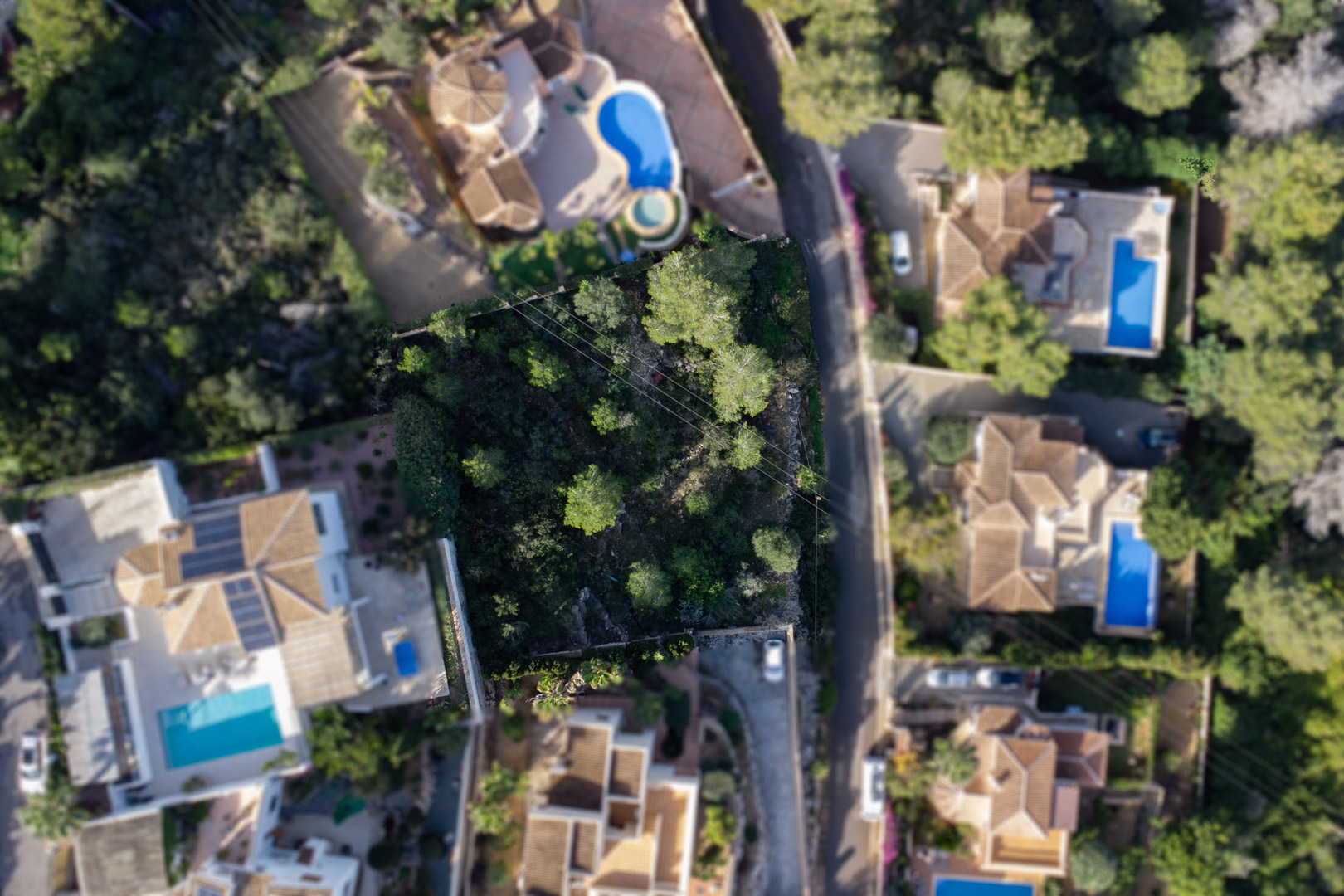 Vista aérea cenital de la parcela de 1042m2, destacando su densa vegetación de pinos y su ubicación privilegiada rodeada de villas de lujo con piscina.