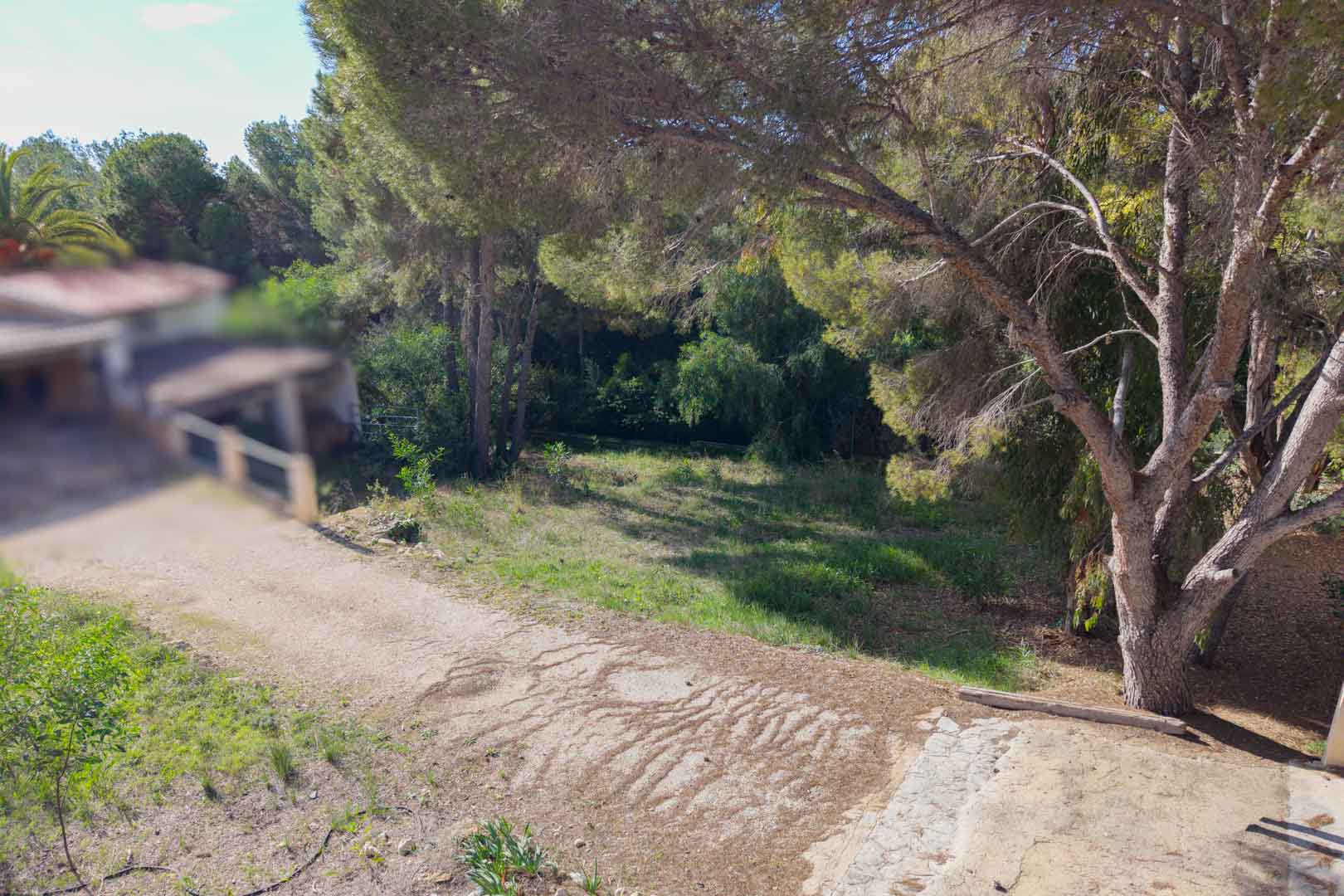Parcela urbana con ligera pendiente, rodeada de pinos maduros y vegetación autóctona. Dispone de un camino de acceso consolidado en una zona residencial tranquila.