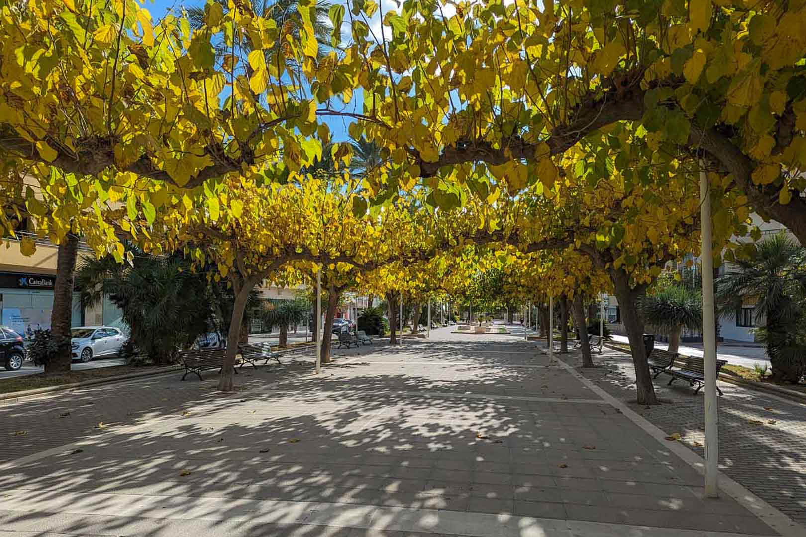 Paseo peatonal en el centro de Moraira con un túnel natural de árboles de hoja caduca, bancos de descanso y acceso inmediato a comercios locales.