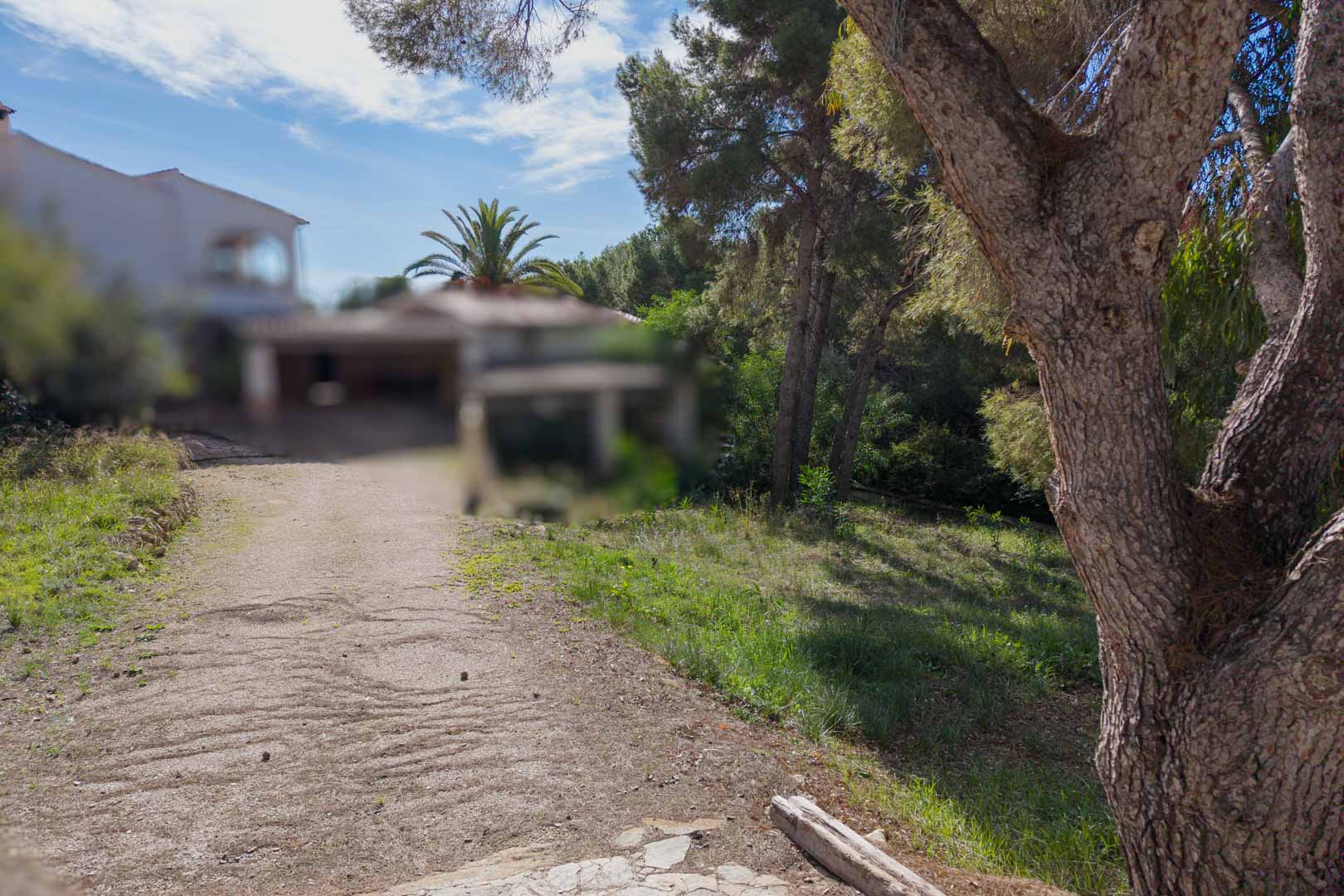 Vista de la parcela urbana con acceso rodado, rodeada de pinos maduros y vegetación mediterránea, situada en una zona residencial consolidada de Moraira.