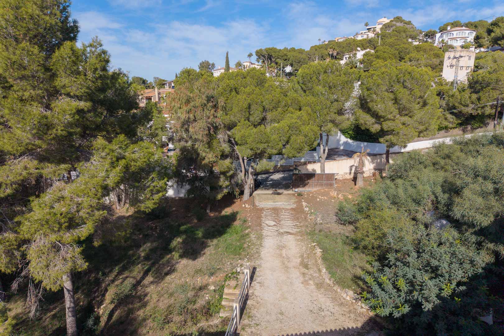 Vista elevada de la parcela urbana con acceso privado, rodeada de pinos maduros y vegetación mediterránea en una zona residencial consolidada.