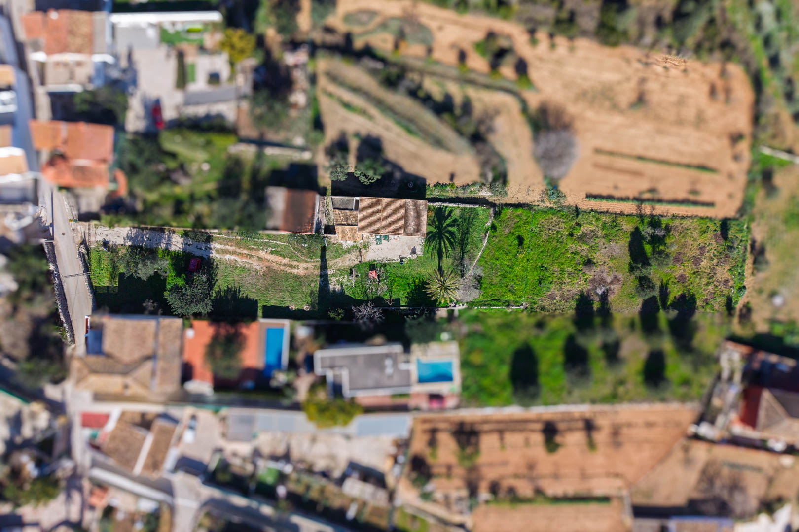 Vista aérea cenital de la finca y su parcela rectangular, donde se aprecia la vivienda central con tejado de teja y las zonas ajardinadas con palmeras.