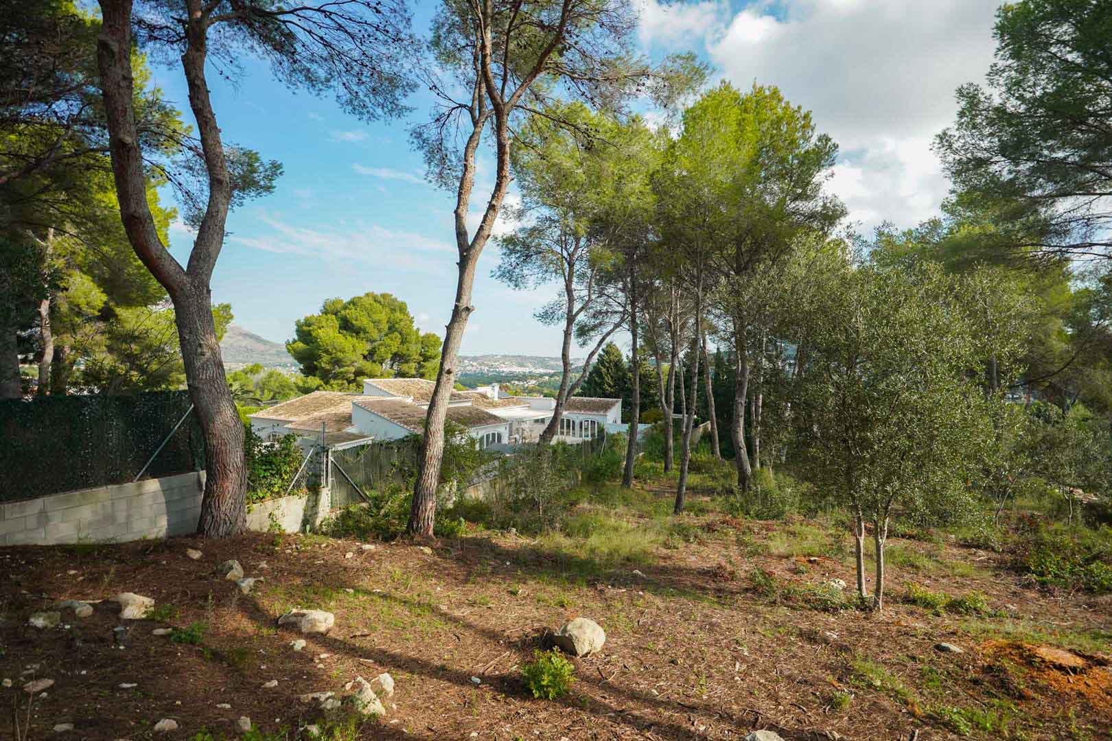 Parcela elevada con pinos maduros y olivos, ofreciendo vistas despejadas hacia el valle y villas colindantes en la urbanización La Lluca.