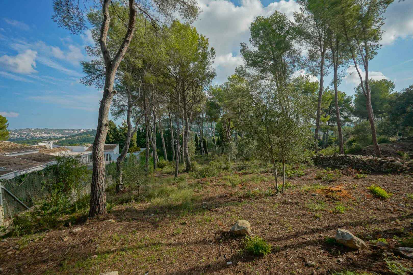 Parcela elevada con pinos maduros y vistas despejadas hacia el valle de Jávea, lindando con muros de piedra natural y villas residenciales.