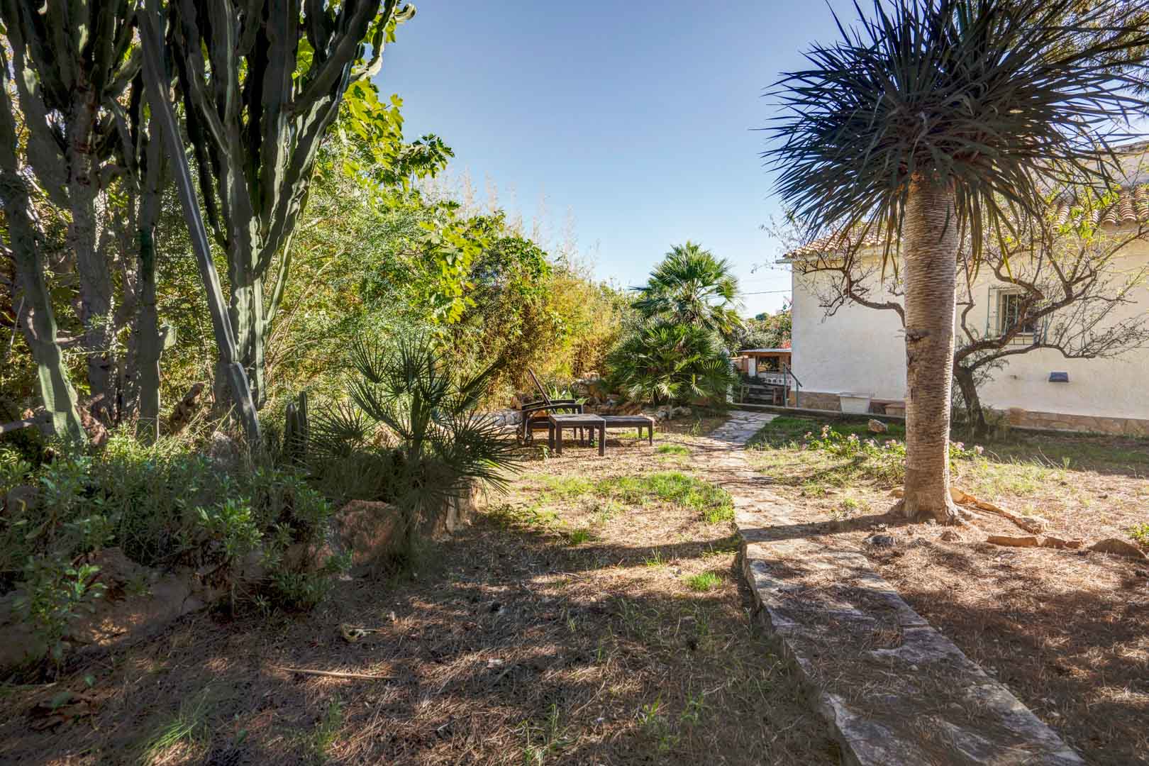 Jardín mediterráneo con senderos de piedra natural, vegetación madura que incluye palmeras y cactus, y una zona de descanso exterior junto a la fachada blanca de la vivienda.