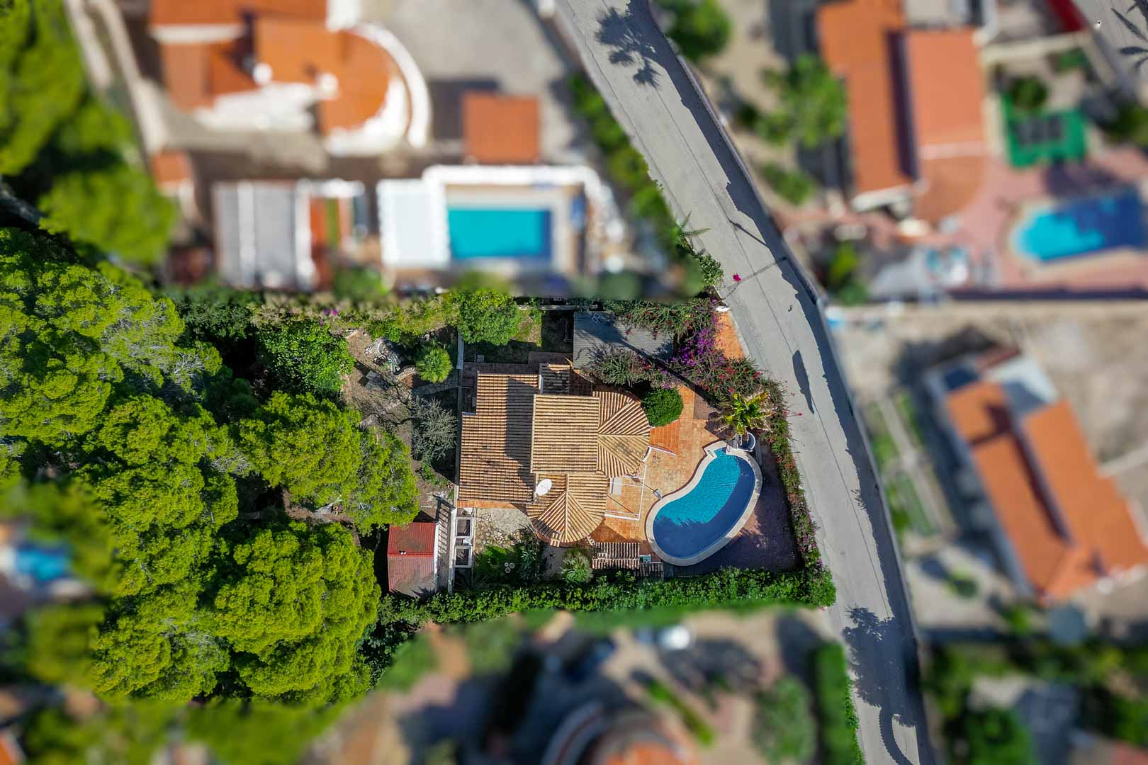 Vista aérea cenital de la propiedad con tejados de teja cerámica, piscina privada en forma de riñón y jardín mediterráneo rodeado de pinos y setos perimetrales.