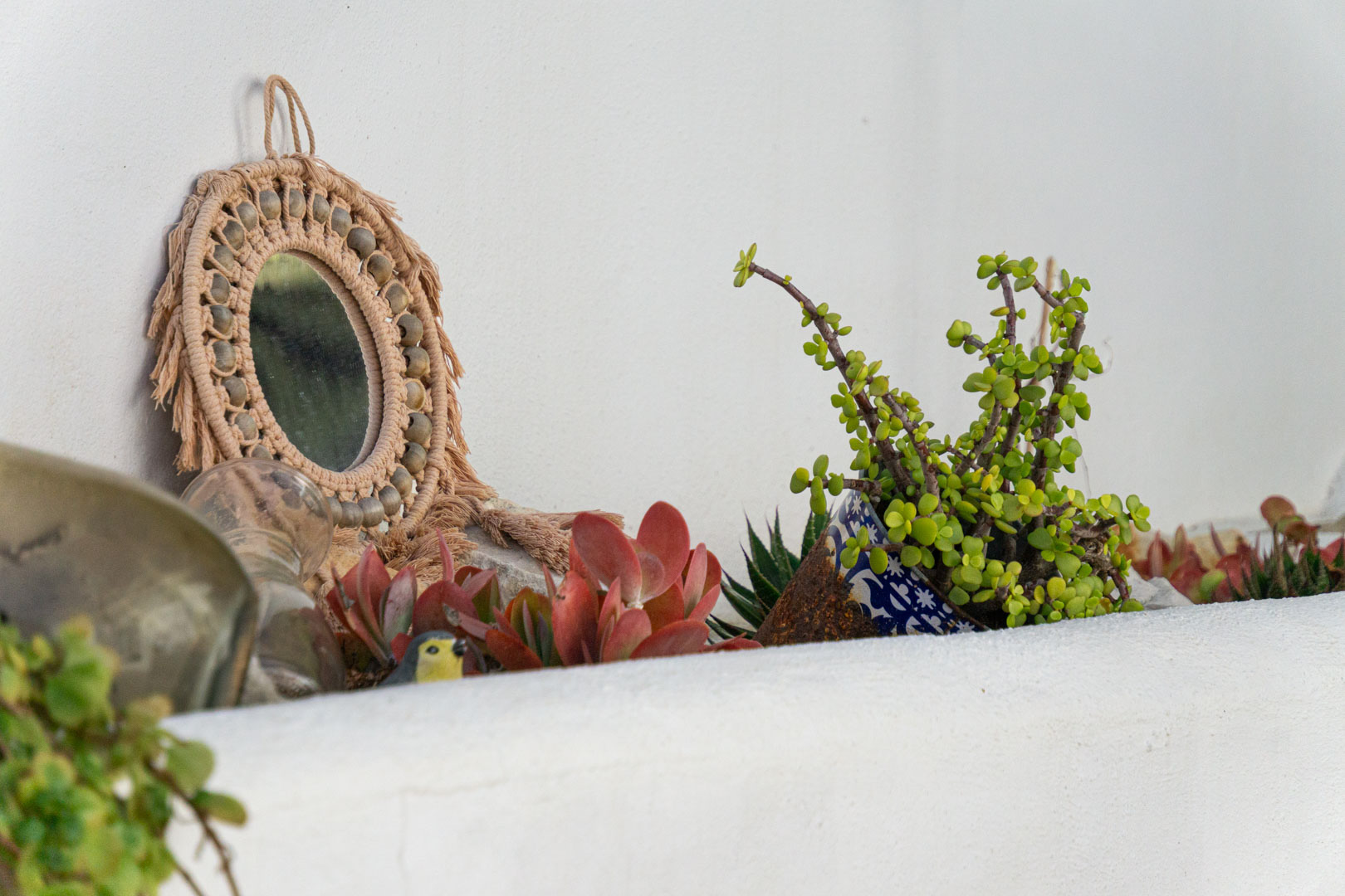 Detalle decorativo en repisa blanca con espejo de macramé, maceta cerámica azul y variedades de plantas suculentas que aportan un toque mediterráneo.