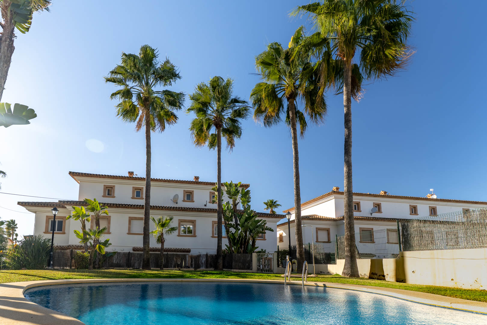 Piscina comunitaria de forma curva rodeada de césped y altas palmeras, con vista a las fachadas blancas de estilo mediterráneo y tejados de teja cerámica bajo un cielo despejado.
