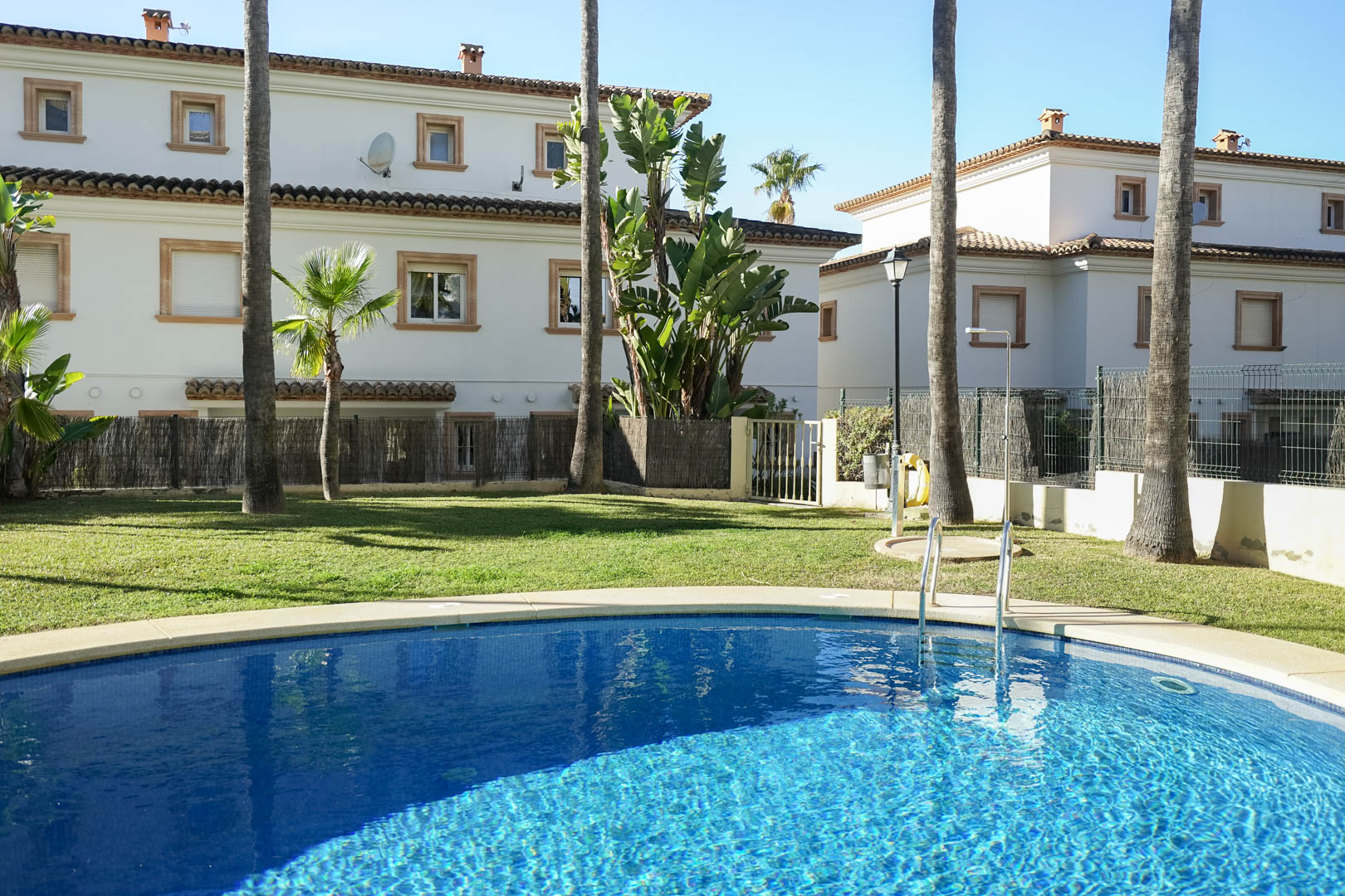 Piscina comunitaria rodeada de césped y palmeras altas, con vistas a las fachadas blancas de la urbanización y zona de ducha exterior.