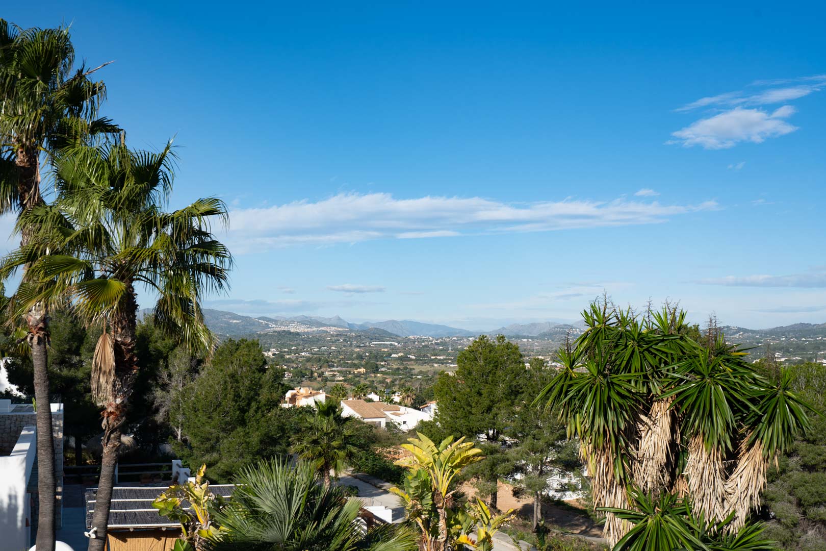 Vistas despejadas hacia el valle y las montañas circundantes, enmarcadas por palmeras y vegetación tropical desde una posición elevada de la parcela.