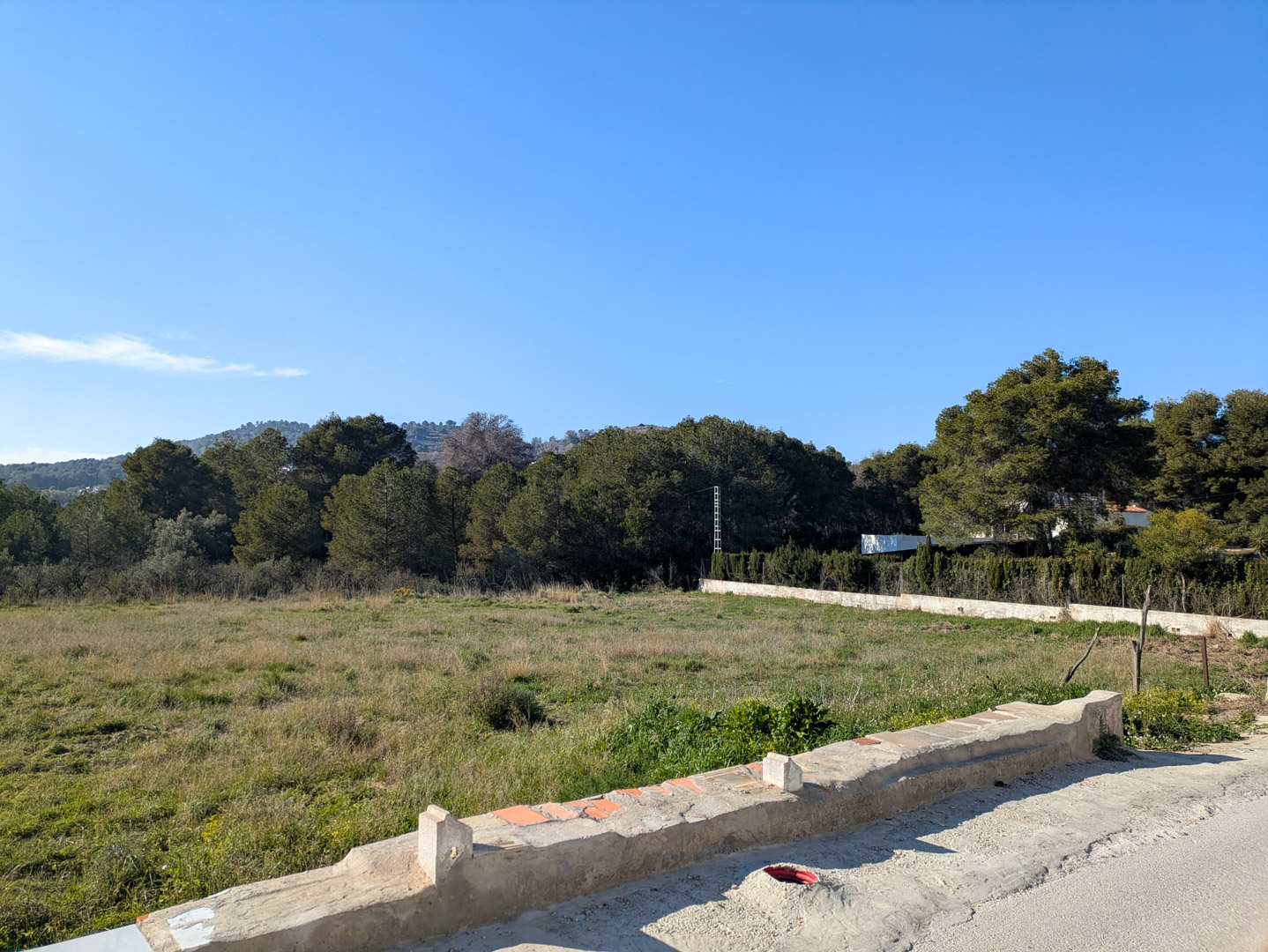 Vista de la amplia parcela rústica llana rodeada de pinos y vegetación mediterránea, delimitada por un muro de piedra bajo un cielo despejado.