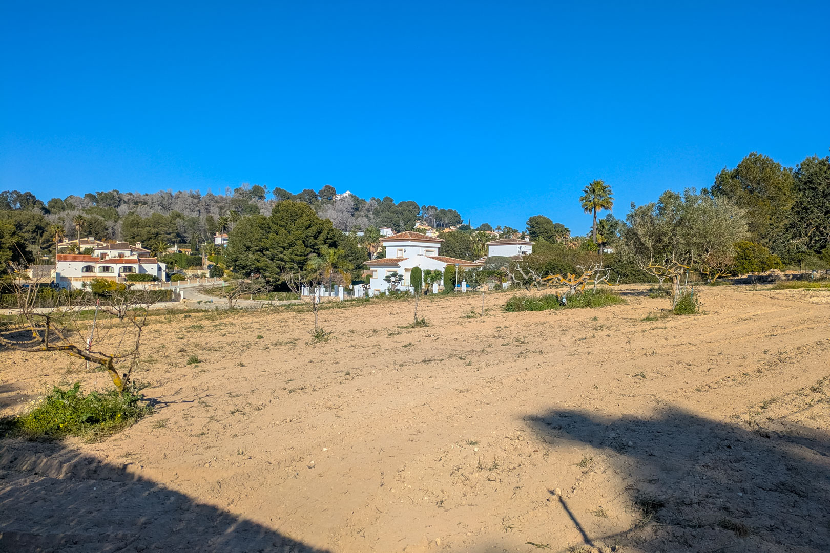 Vista panorámica de la amplia parcela rústica llana, rodeada de vegetación mediterránea y con vistas despejadas hacia las colinas y propiedades colindantes.