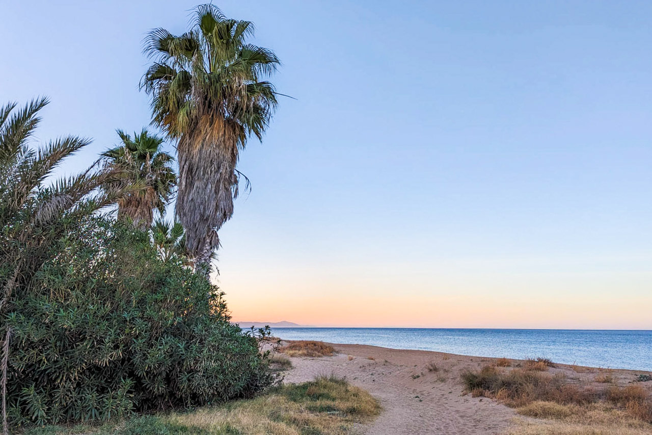 Vista de la playa de arena en Dénia al atardecer, con palmeras y vegetación autóctona junto al sendero que bordea el mar Mediterráneo.