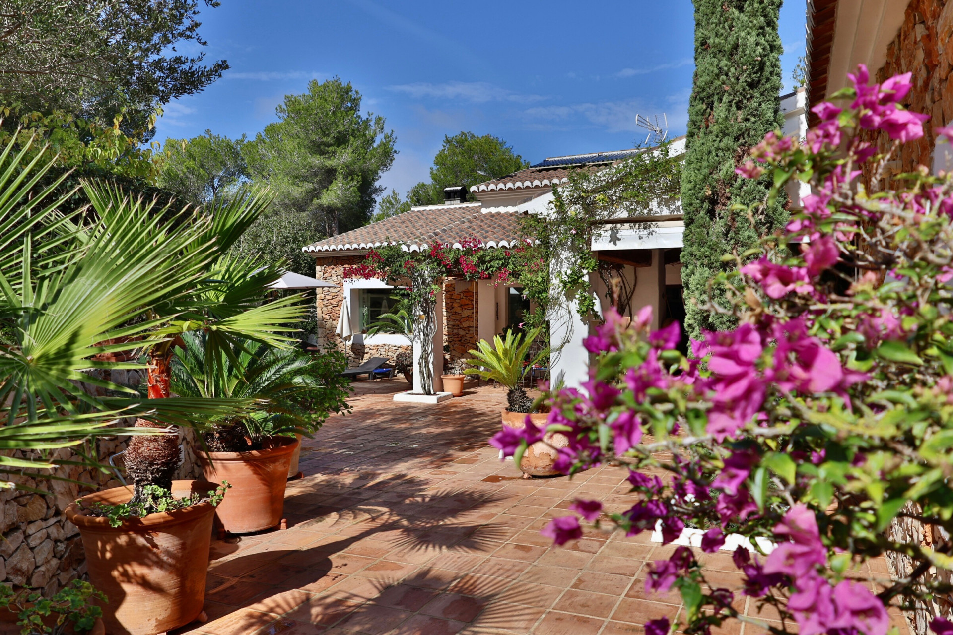 Patio exterior con baldosas de terracota y muros de piedra, enmarcado por exuberante vegetación mediterránea, incluyendo palmeras en macetas y buganvillas en flor. Patio exterior con baldosas de terracota y muros de piedra, enmarcado por exuberante vegetación mediterránea, incluyendo palmeras en macetas y buganvillas en flor.