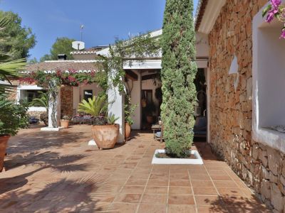 Patio exterior con suelo de terracota, pared de piedra natural y pérgola cubierta de buganvillas, rodeado de plantas en macetas y un ciprés esbelto.