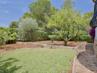 Jardín con césped, limonero y seto perimetral. Se aprecia una fachada de piedra, balcón de hierro forjado y buganvilla.