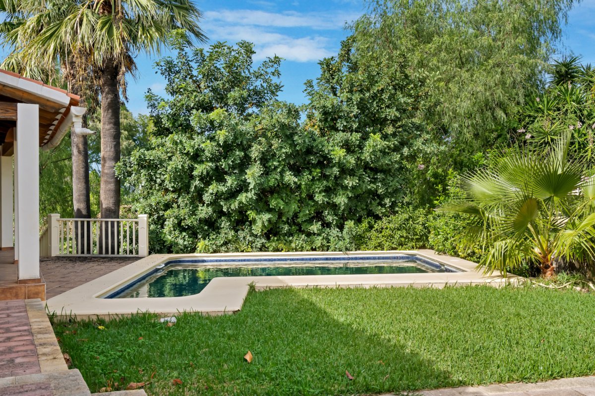 Piscina privada rectangular con césped verde y exuberante vegetación, junto a una terraza cubierta con pilares blancos. Piscina privada rectangular con césped verde y exuberante vegetación, junto a una terraza cubierta con pilares blancos.