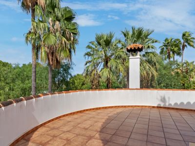 Amplia terraza en la azotea con baldosas de terracota, un parapeto blanco curvo con tejas tradicionales y una chimenea, rodeada de palmeras bajo un cielo azul.