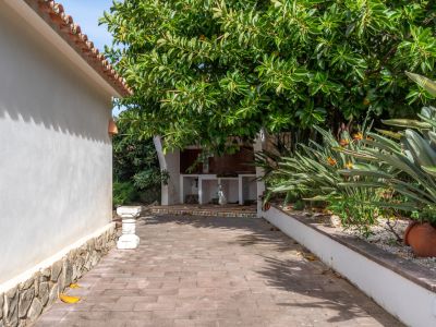 Cocina exterior con encimera de azulejos bajo un árbol frondoso, junto a un camino pavimentado y jardín mediterráneo con Strelitzias.