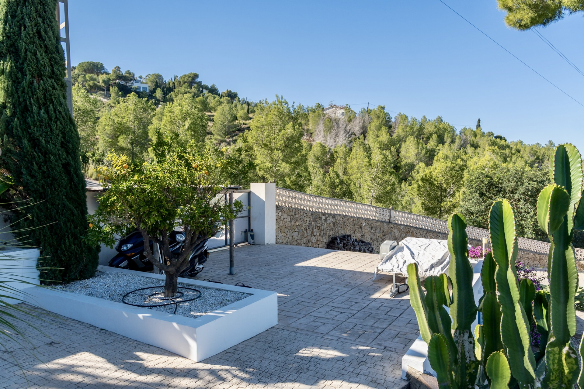 Zona exterior pavimentada con naranjo en jardinera blanca, flanqueada por cactus y muro de piedra, con vistas a la ladera arbolada. Zona exterior pavimentada con naranjo en jardinera blanca, flanqueada por cactus y muro de piedra, con vistas a la ladera arbolada.