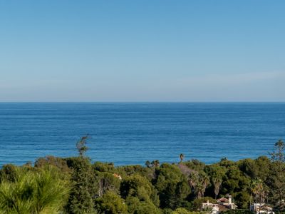 Vista panorámica del mar Mediterráneo bajo un cielo azul, con densa vegetación costera y un tejado de terracota en primer plano.