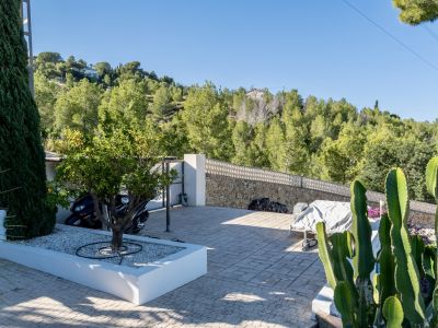 Zona exterior pavimentada con naranjo en jardinera blanca, flanqueada por cactus y muro de piedra, con vistas a la ladera arbolada.