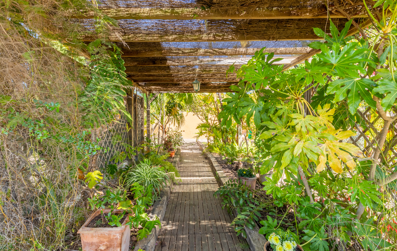 Sendero de madera bajo una pérgola rústica con cubierta de brezo, rodeado de vegetación mediterránea madura y plantas tropicales en macetas de barro.