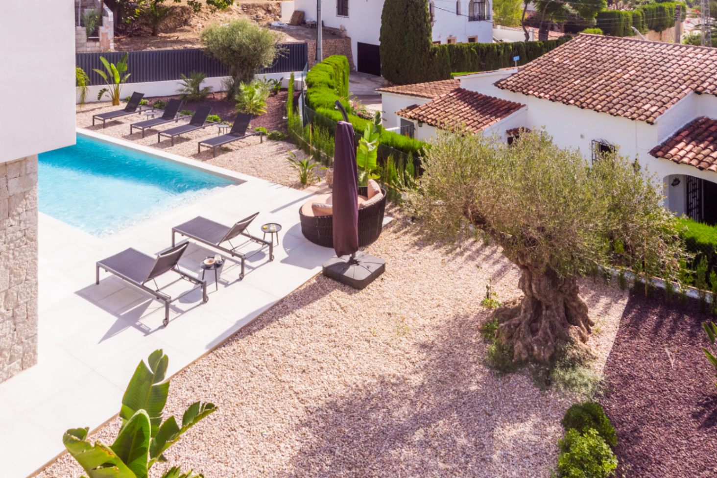 Vista aérea de la piscina con tumbonas y jardín mediterráneo con olivo centenario en Benissa.