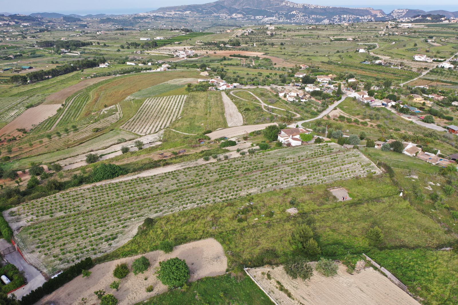 Vista aérea de la extensa parcela con viñedos de uva moscatel, rodeada de un paisaje mediterráneo con vistas panorámicas al mar y a las montañas.