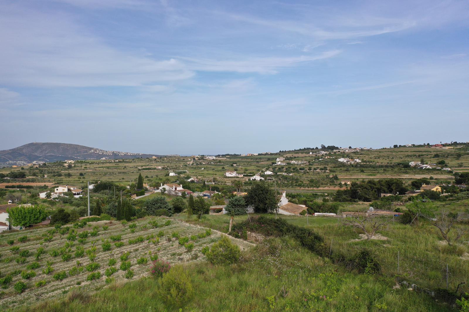 Vista panorámica de los viñedos de uva moscatel y el entorno rural mediterráneo, con montañas en el horizonte y parcelas abancaladas tradicionales.