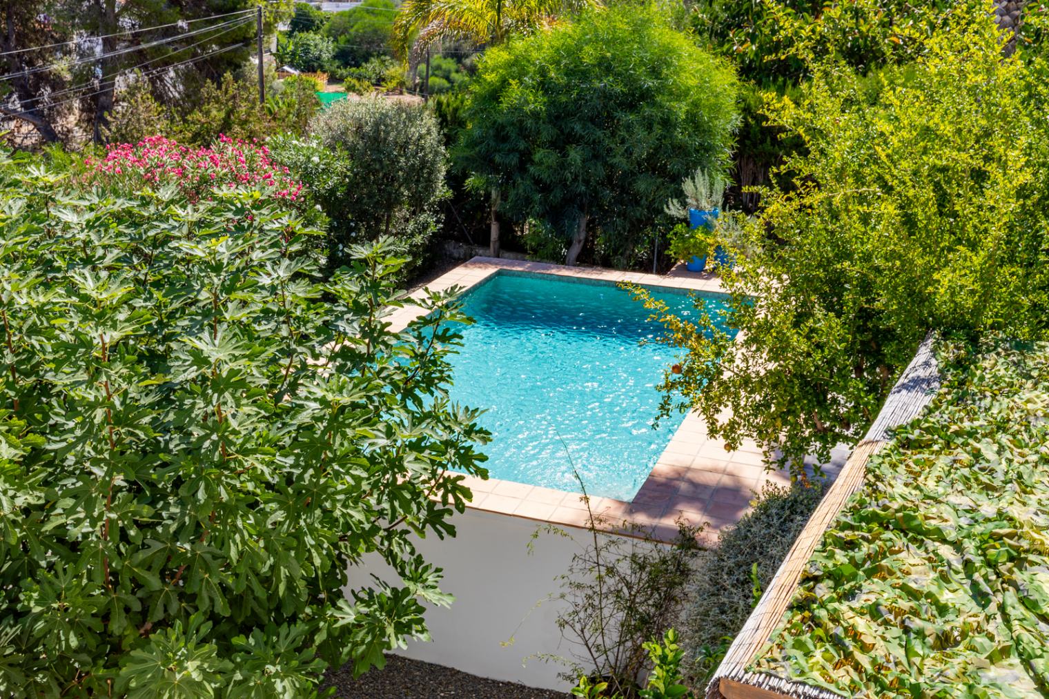 Piscina privada rodeada de vegetación mediterránea madura, incluyendo higueras y adelfas, que garantizan total privacidad en el área de baño.
