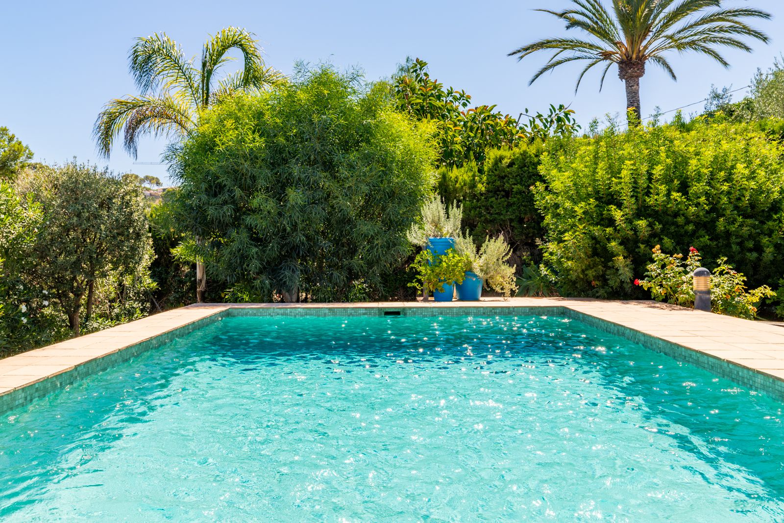 Piscina rectangular con revestimiento de mosaico azul, rodeada de abundante vegetación mediterránea y palmeras que garantizan total privacidad bajo el sol.