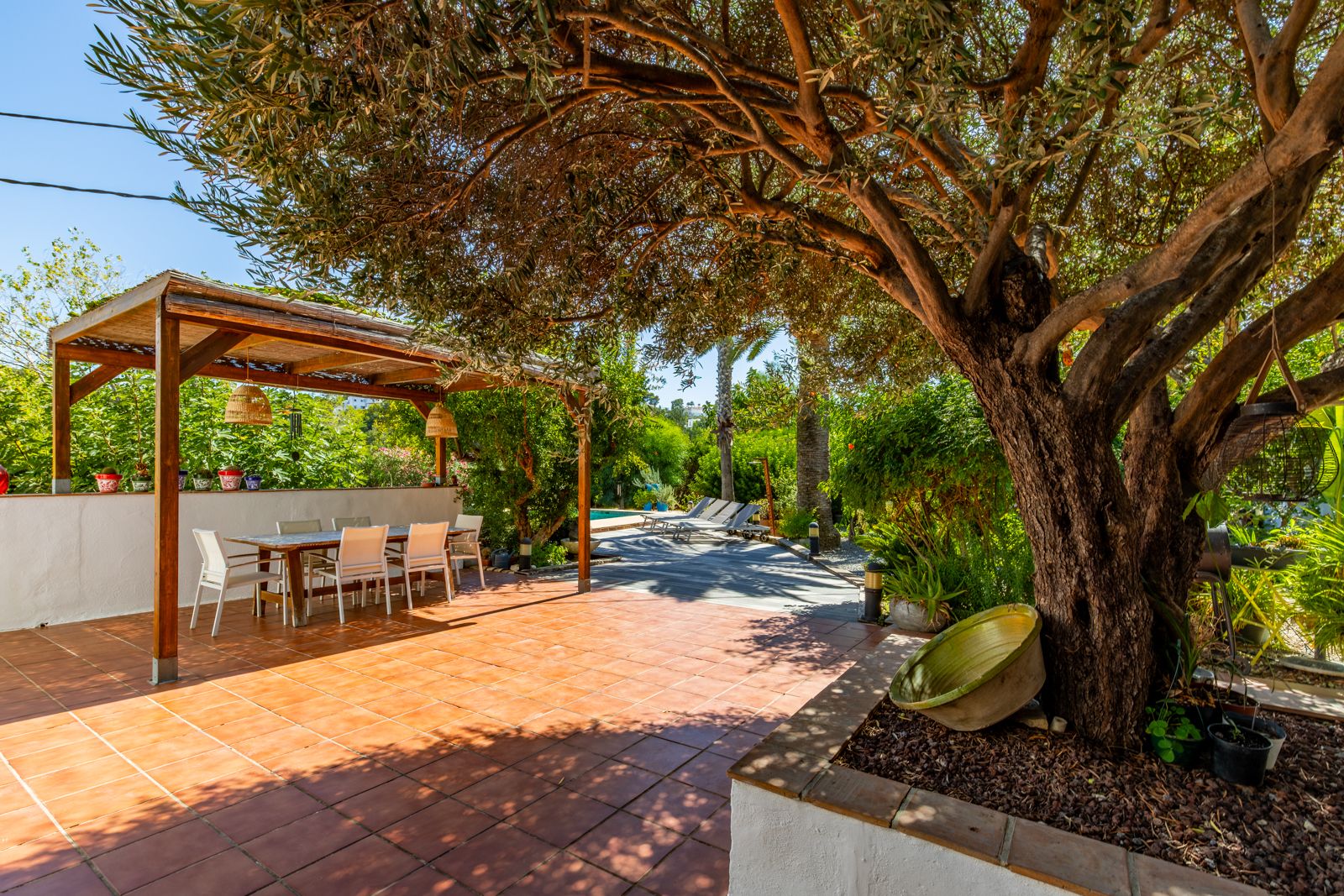 Terraza exterior con suelo de barro cocido, zona de comedor bajo pérgola de madera y un gran olivo que proporciona sombra natural junto al jardín mediterráneo.
