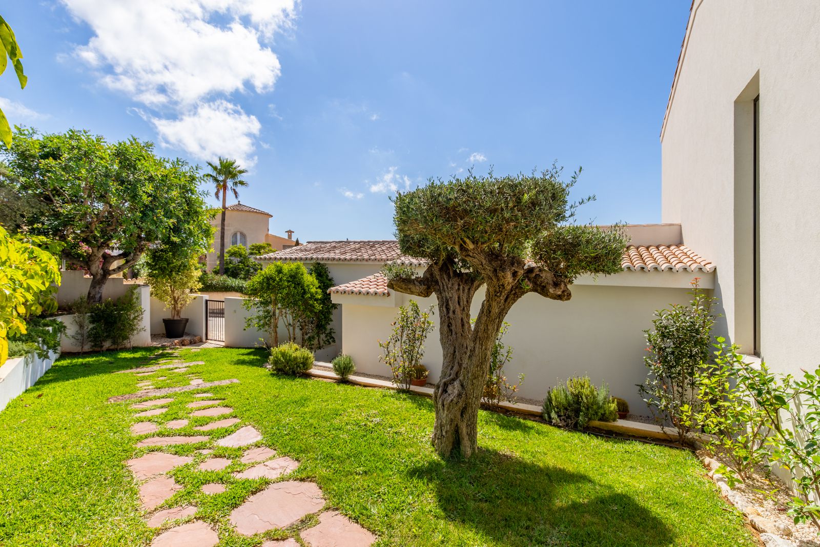 Jardín mediterráneo con césped cuidado, olivo ornamental y sendero de piedra natural que conduce hacia la entrada de la villa.