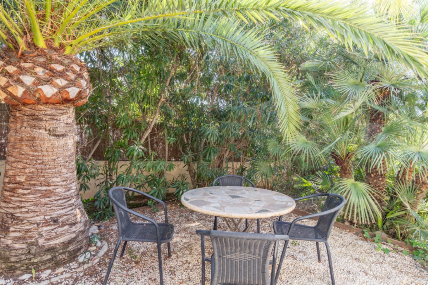 Rincón de descanso en el jardín tropical con mesa de piedra y sillas, rodeado de palmeras y vegetación madura que garantiza total privacidad.