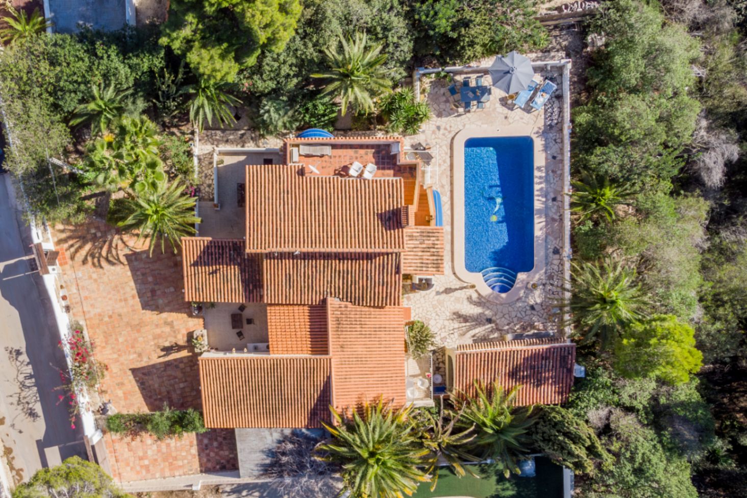 Vista aérea cenital de la villa que muestra la parcela de 1.000 m², la gran piscina de 42 m² y las terrazas de piedra rodeadas de vegetación mediterránea madura.
