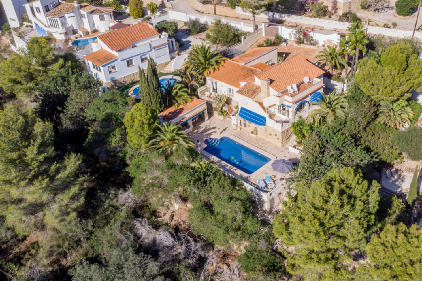 Vista aérea de la villa con tejados de terracota, piscina central rodeada de vegetación madura y zona de cocina exterior, lindando con una extensa área verde protegida.