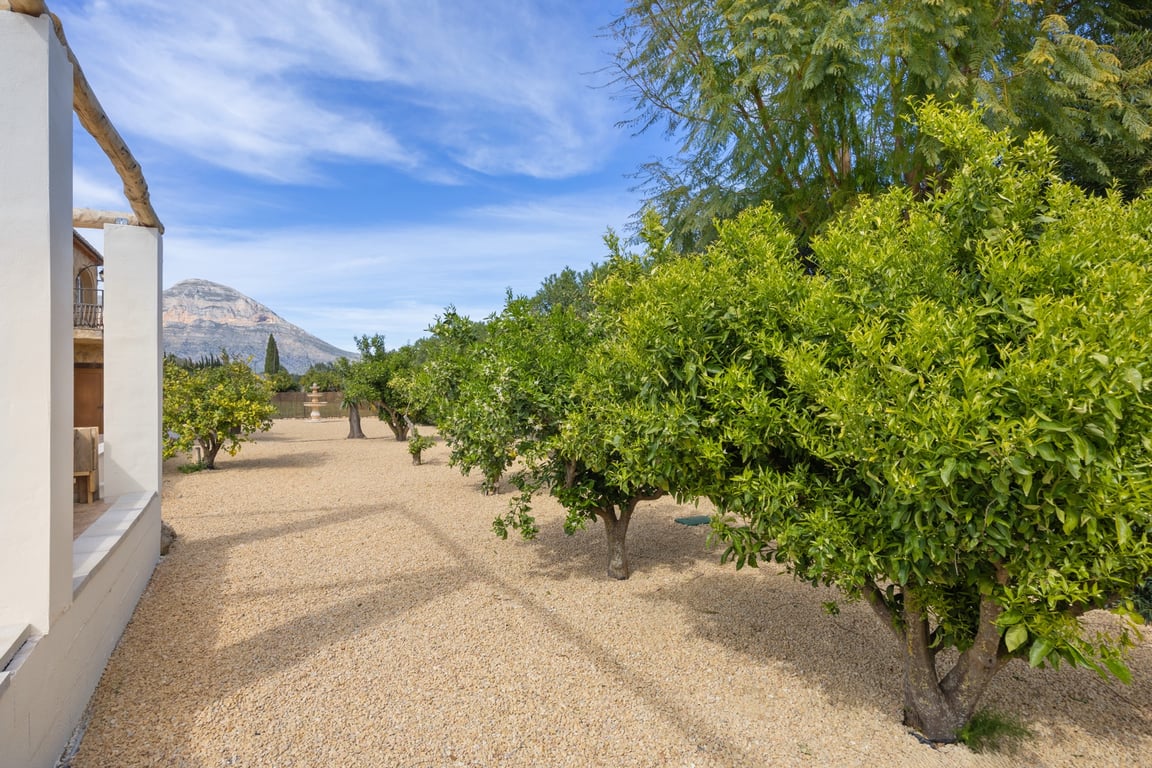 Jardín mediterráneo de bajo mantenimiento con árboles frutales y suelo de grava, que ofrece vistas despejadas al Montgó y una fuente ornamental al fondo.