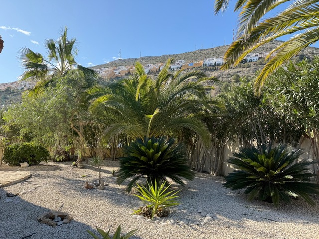 Jardín mediterráneo de bajo mantenimiento con grava blanca, palmeras maduras y cicas, con vistas a la ladera de Benitachell bajo un cielo despejado.