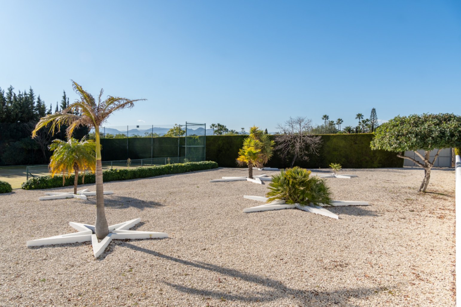 Jardín de grava con palmeras dispuestas en jardineras blancas en forma de estrella, junto a la pista de tenis privada y rodeado de setos altos.