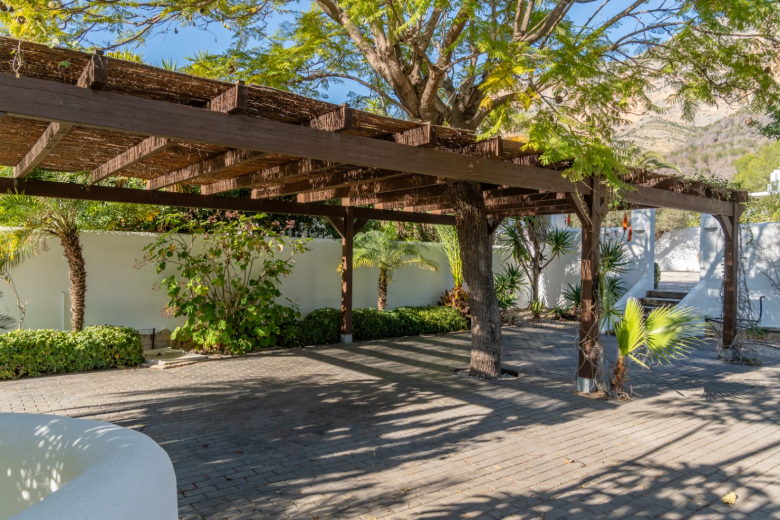 Pérgola de madera con cubierta de cañizo integrada con un árbol maduro, situada sobre un suelo pavimentado y rodeada de vegetación mediterránea frente al Montgó.