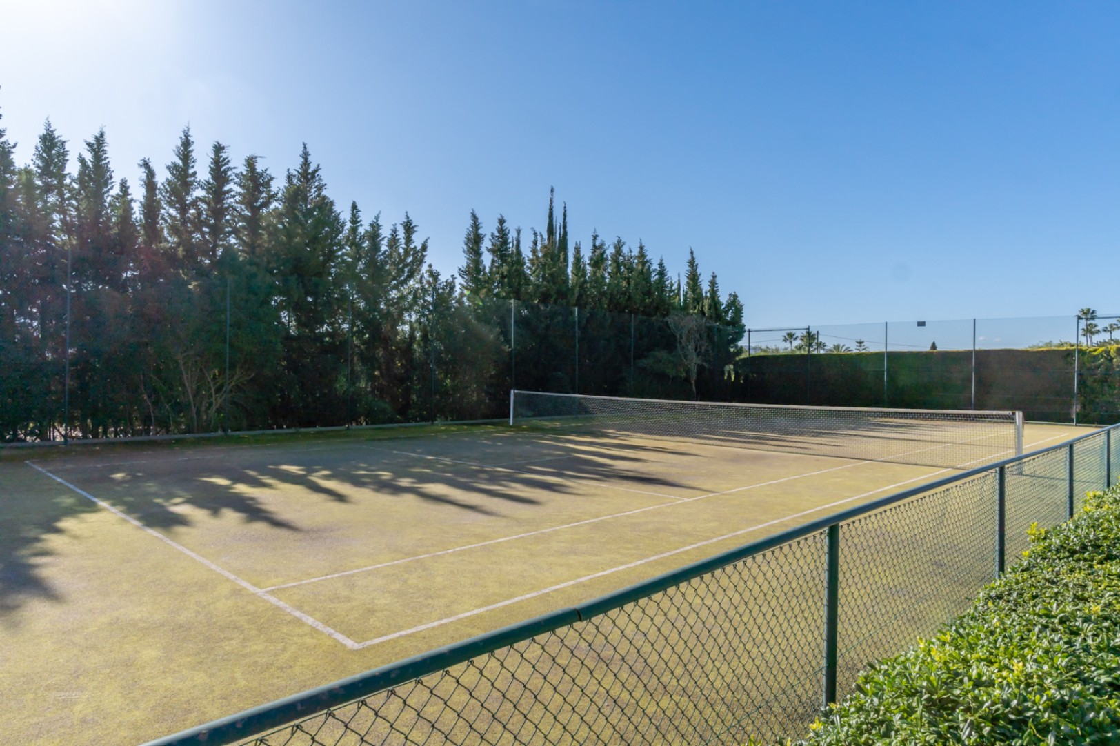 Pista de tenis privada rodeada de altos cipreses que garantizan total privacidad, con superficie sintética y vallado perimetral bajo un cielo despejado.