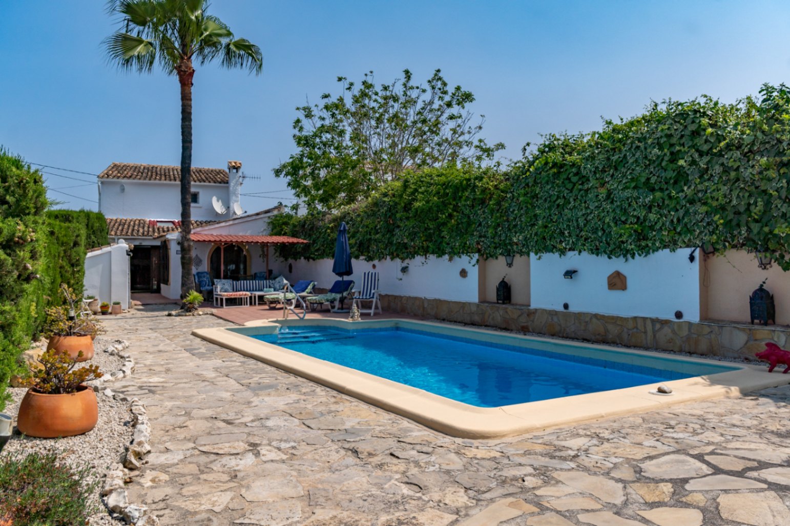 Vista de la piscina rectangular con borde claro, rodeada de un jardín con muros cubiertos de vegetación.