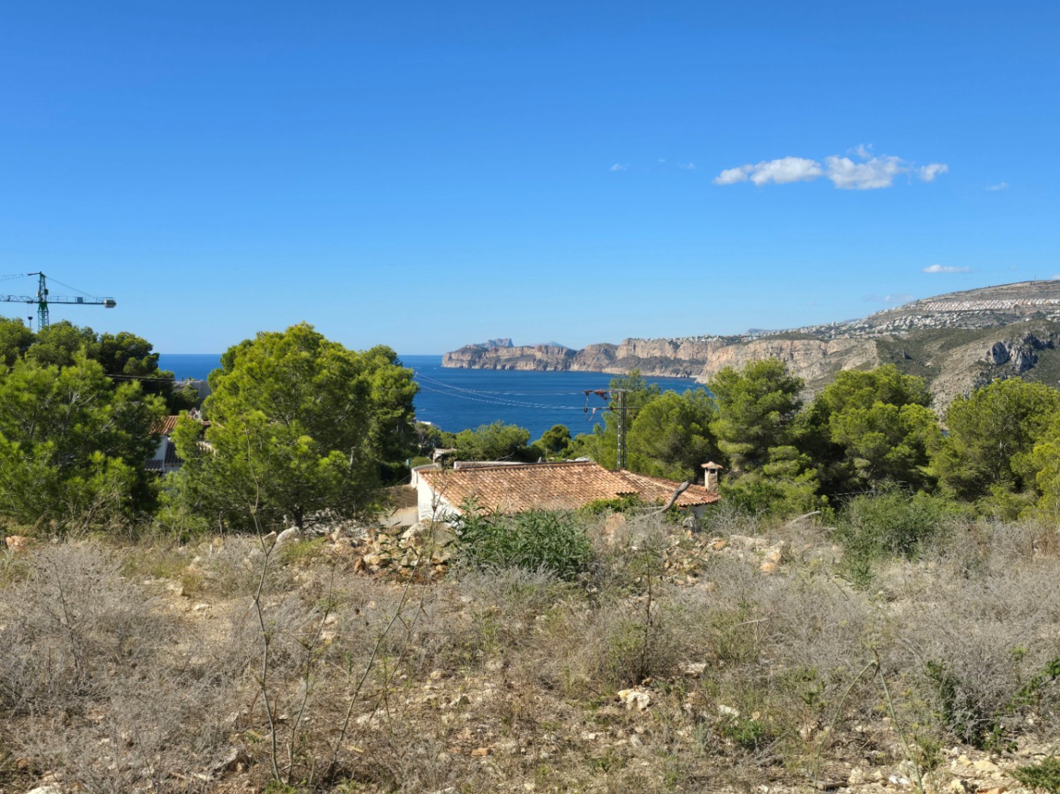 Vista panorámica al mar Mediterráneo y acantilados desde una parcela elevada en Costa Nova, rodeada de pinos y vegetación autóctona bajo un cielo despejado.