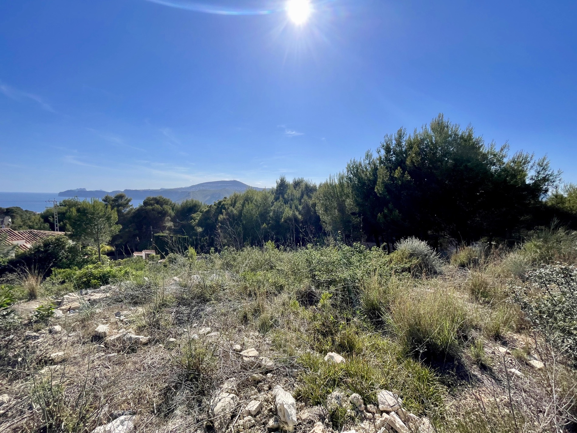 Vista panorámica desde la parcela elevada hacia el mar Mediterráneo, rodeada de vegetación autóctona y pinos bajo un cielo despejado y soleado.